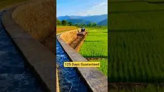 New Rural Jobs Law: 125 Days Work Guarantee #shorts #youtubeshorts #government #india #jobscrisis