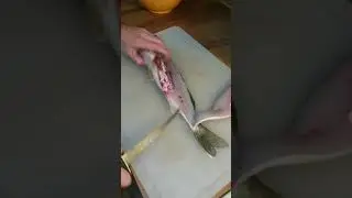Fastest way to fillet a walleye and remove the ribs