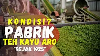 TERNYATA BEGINI! KONDISI PABRIK TEH KAYU ARO KERINCI JAMBI