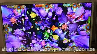 thunder dragon fish game fish hunter gambling table IGS thunder dragon 2