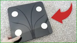 Vitafit Smart Scale Review &ndash; Body Fat & App Features Tested!