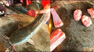🐠EXPRESS  FAST FISH CUTTING✂️ SKILLS | 🥰#LIVE AFRICAN CATFISH# #FILLET SLICING# #CHENNAI FISHMARKET#
