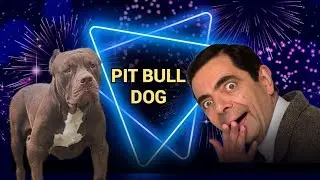Evolution Dog 🔥 #pitmonsters