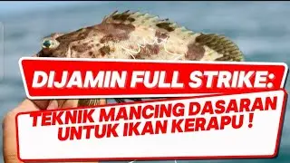DIJAMIN FULL STRIKE: Teknik Mancing Dasaran untuk Ikan kerapu !