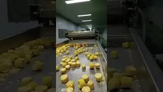 Ready to eat Sweet and Frozen Corn Processing line