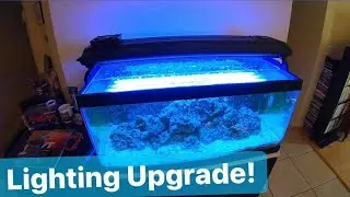 DIY T5 Budget Light Fixture - CHEAP Lighting for your Reef Tank / Marine Aquarium / Fish Tank