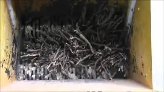 Shredding of liquorise wood with a four shaft shredder