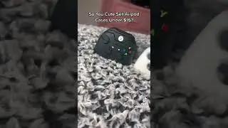 Cute Airpod Cases Under $15