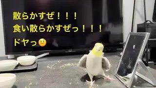 2025.12.17 食い散らかしてこんにちは♪♪