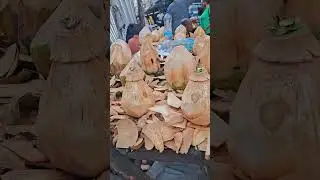 Buko juice/coconut water is very healthy #bukojuice #coconut #health #healthylifestyle