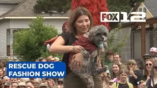 'Haute Dog' fashion show highlights Portland rescues