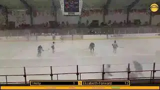 #BurghHockeyNight: Trinity Hillers @ Elizabeth Forward Warriors