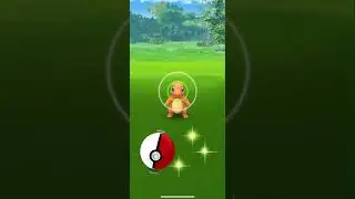 [Pokemon GO] Community Day Classic: Charmander (1/5) COMPLETED! #charmander #charizard