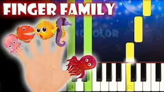 Finger Family (Sea Animals Version) - Cocomelon | Piano Tutorial | Karaoke