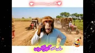 Pind Da Monkey 😂 | Desi Punjabi Comedy #ComedyVideos long comedy video #ViralVideo #funnymonkey