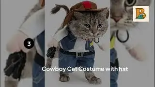 Top 5 Cat Halloween Costumes on Amazon  Betties Reviews