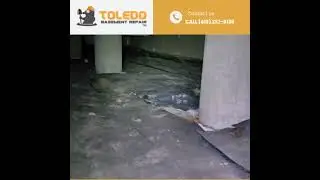 Crawlspace Inspection
