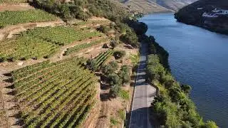 Portugal&rsquo;s Hidden Gem: Pinh&atilde;o and the Vineyards of Douro