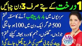 Heart Touching Lines Beautiful Islamic Quotes Hadees Quotes In Urdu Life Success Quotes Motivation