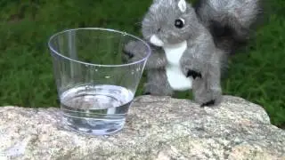 Thirsty - Adventures in Science with Matt and Sam