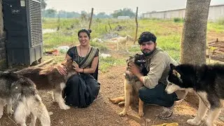 Mere jija ka dog kennel ￼🦮🐶