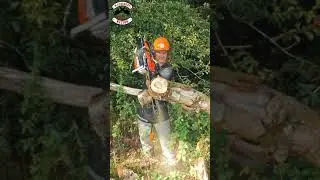 Amazon Chainsaw is a BEAST!