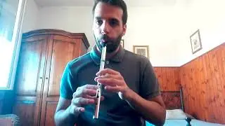 Irish Tin Whistle - Garrett Barry's Reel