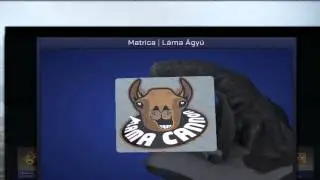 CS:GO | Open - Community Sticker Capsule 1✔