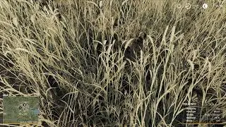 Farming Simulator 19 Ep #1 - Cultivăm Gr&acirc;ul