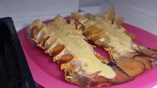 Бесстрашное приключение в Кайкоуре: Рай синей трески!