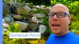 EcoSystem Pond for Wildlife (Pond Specialist in Somerset UK)