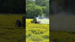 The Weeds Are Out Of Control! #shorts #sprayingweeds #spring