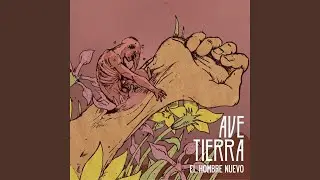 Primer Vuelo