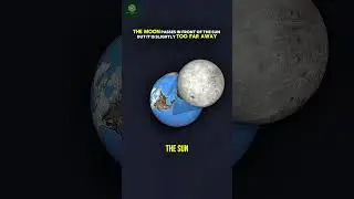 Ring of Fire Solar Eclipse 2026 | February Annular Solar Eclipse Explained   Rare Cosmic Event 2026