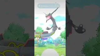 BEST POKEMON CONTENT ON YOUTUBE| TWITCH| TIKTOK| #pokemongo #pokemon #hundopokemon #shinypokemon