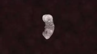 CP Biology 1 - Cell To Embryo