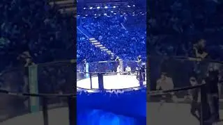 KSW 46