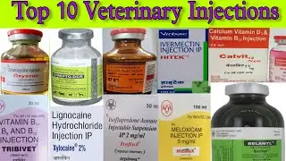 Top 10 Veterinary Injections