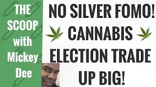 Cannabis Election Trade Up Big! (HARV/HRVSF) / No FOMO Into Silver / The Scoop