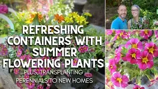 🌞 Refreshing Containers with Summer Flowering Plants for Pots 🌞