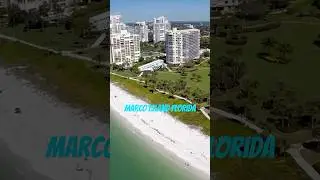 Marco Island Florida Travel Guide: 5 Best Things To Do