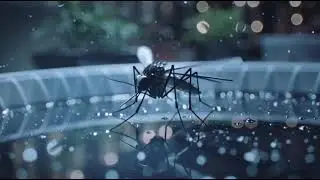 What Causes Dengue Fever? | DENGUE |Cat and Puppy animation | Medical Ai