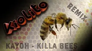 Kiolito / Kayoh - Killa Bees