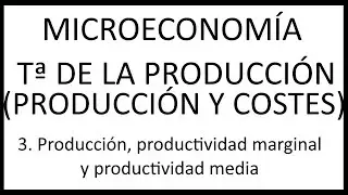 3. Producción, productividad marginal y productividad media