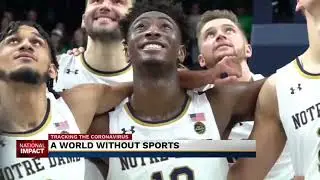 A World Without Sports