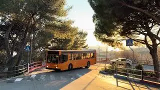 Iveco 490.10.22 Turbocity-UR sul 356 - WildBandanaCollection 