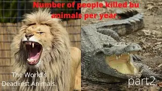 The deadliest animals in the world part 2