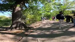 Boston 4K Tour - Back Bay Fens Victory Garden 🌳🚴&zwj;♂️🚇 How much is open? Work being done? Paths lanes