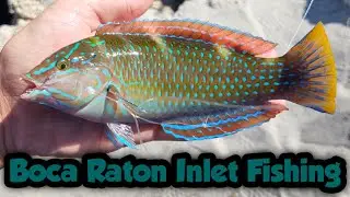 Bottom Fishing the Boca Raton Inlet