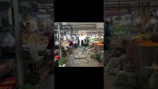 Un mercato del pesce molto particolare 🐟